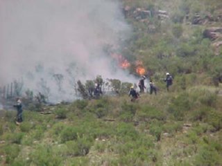 FUEGO CAMPO 05